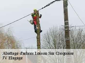 Abattage d'arbres 62990