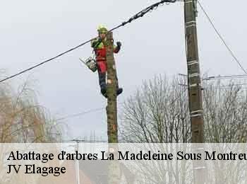 Abattage d'arbres 62170