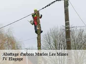 Abattage d'arbres 62540