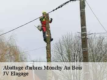 Abattage d'arbres 62111