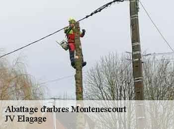 Abattage d'arbres 62123