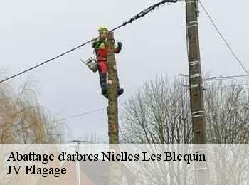 Abattage d'arbres 62380