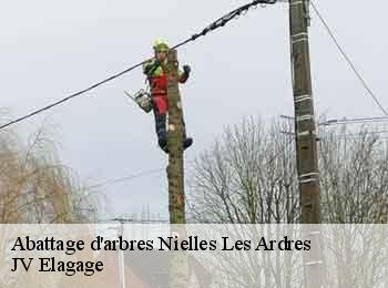 Abattage d'arbres  62610