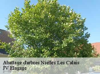 Abattage d'arbres