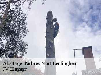 Abattage d'arbres nort-leulinghem-62890 JV Elagage