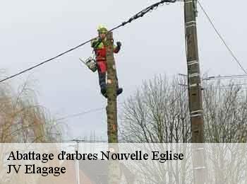 Abattage d'arbres 62370