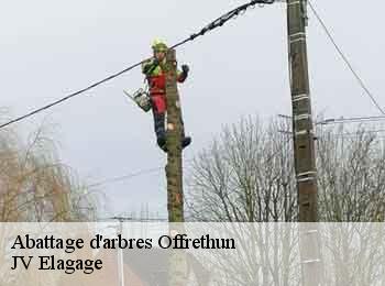 Abattage d'arbres 62250