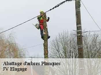 Abattage d'arbres 62310