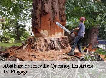 Abattage d'arbres