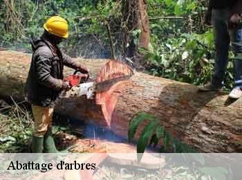 Abattage d'arbres 62560