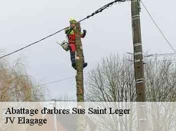 Abattage d'arbres  62810