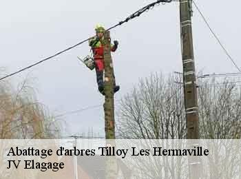 Abattage d'arbres 62690