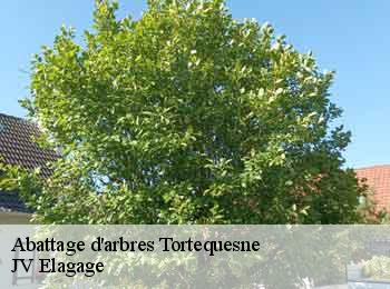 Abattage d'arbres