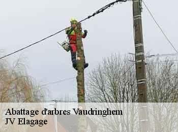 Abattage d'arbres 62380