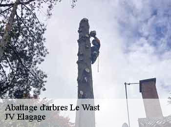 Abattage d'arbres le-wast-62142 JV Elagage