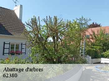Abattage d'arbres