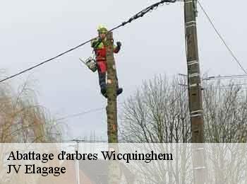 Abattage d'arbres 62650