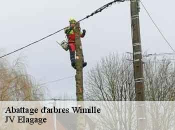 Abattage d'arbres 62126