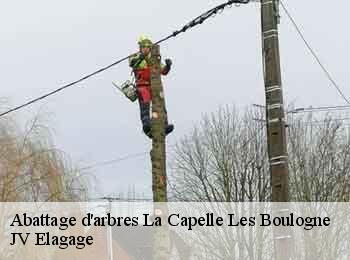 Abattage d'arbres 62360