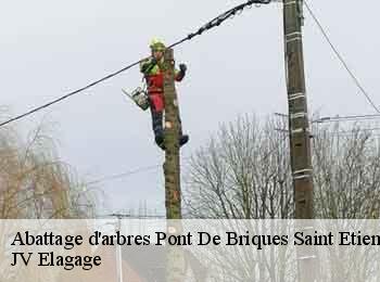 Abattage d'arbres 62360