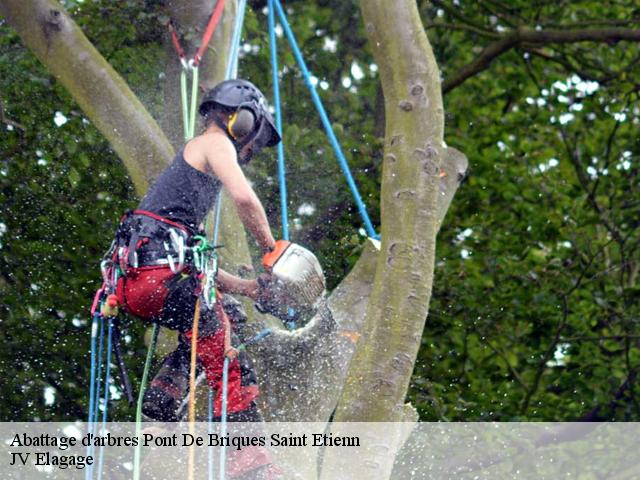 Abattage d'arbres  pont-de-briques-saint-etienn-62360 JV Elagage
