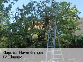 Elagueur  haverskerque-62350 JV Elagage