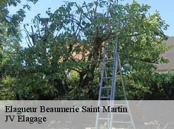 Elagueur  beaumerie-saint-martin-62170 JV Elagage
