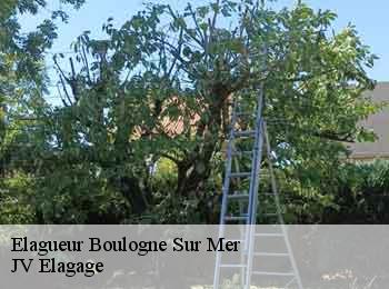 Elagueur  boulogne-sur-mer-62200 JV Elagage
