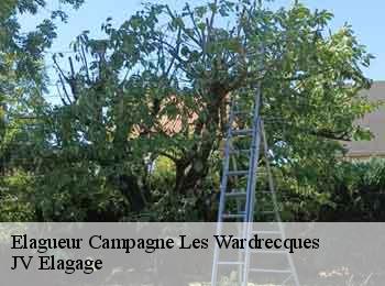 Elagueur campagne-les-wardrecques-62120 JV Elagage