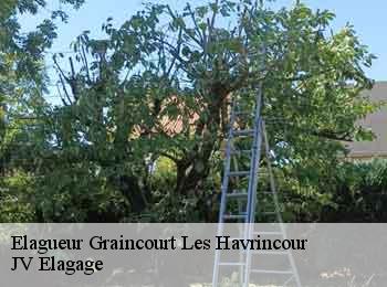 Elagueur graincourt-les-havrincour-62147 JV Elagage