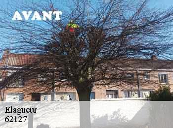 Elagueur 62127