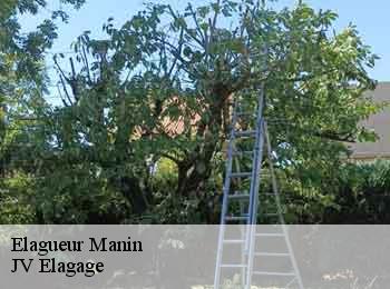 Elagueur  manin-62810 JV Elagage