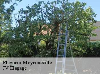 Elagueur moyenneville-62121 JV Elagage
