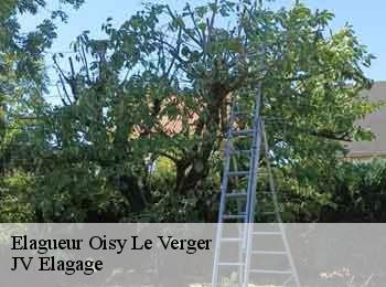 Elagueur  oisy-le-verger-62860 JV Elagage