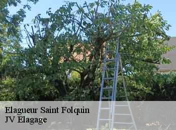 Elagueur saint-folquin-62370 JV Elagage