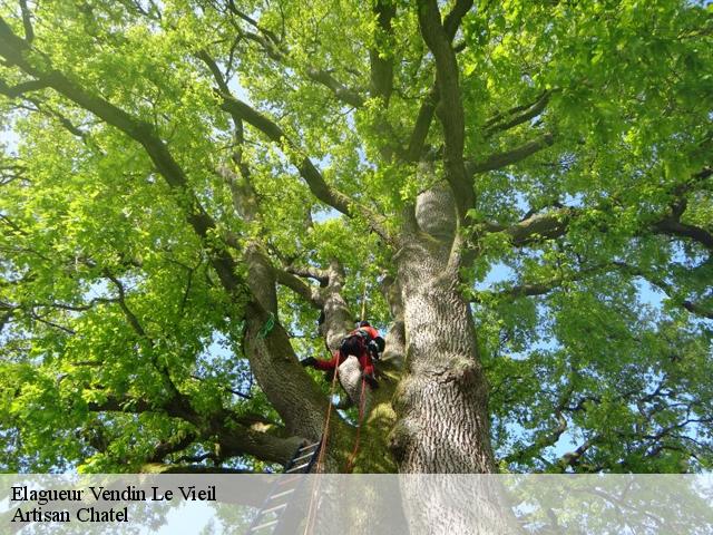 Elagueur vendin-le-vieil-62880 Artisan Chatel