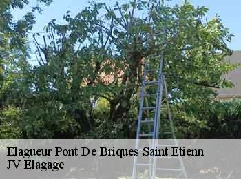 Elagueur pont-de-briques-saint-etienn-62360 JV Elagage