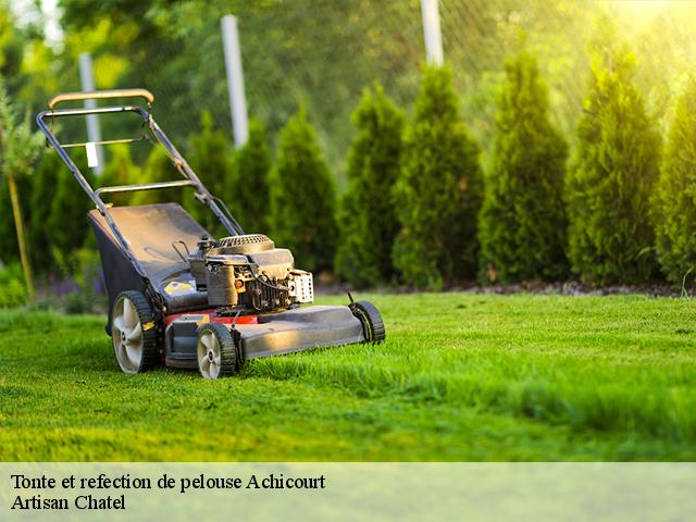 Tonte et refection de pelouse  achicourt-62217 Artisan Chatel