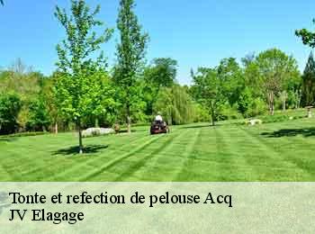 Tonte et refection de pelouse acq-62144 JV Elagage
