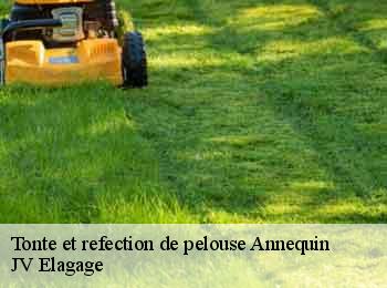 Tonte et refection de pelouse