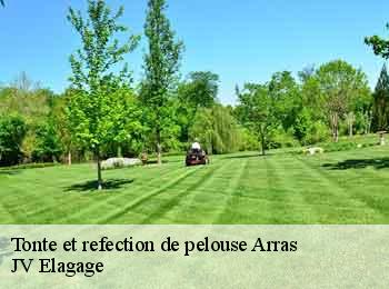 Tonte et refection de pelouse  arras-62000 JV Elagage