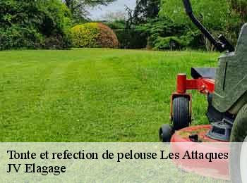 Tonte et refection de pelouse 62730