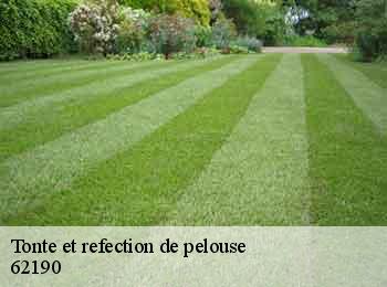 Tonte et refection de pelouse