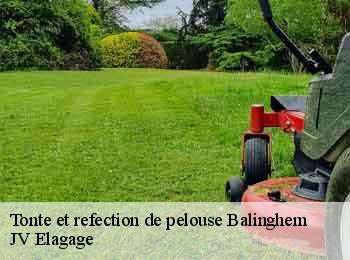 Tonte et refection de pelouse  62610