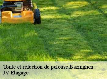 Tonte et refection de pelouse