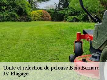 Tonte et refection de pelouse  62320