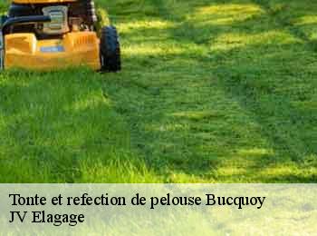 Tonte et refection de pelouse