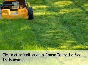 Tonte et refection de pelouse