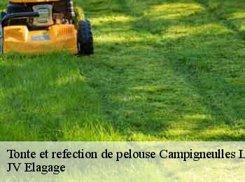 Tonte et refection de pelouse