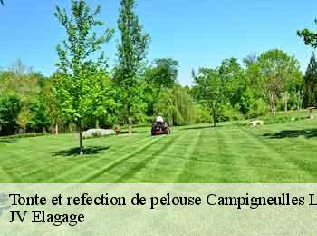 Tonte et refection de pelouse campigneulles-les-grandes-62170 JV Elagage
